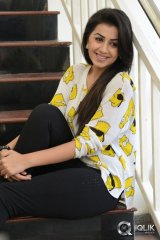 Nikki Galrani at Krishnashtami Movie Promotions